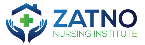 ZNI logo